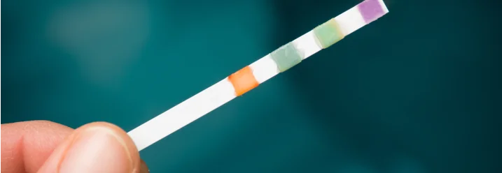 Teststreifen für Wasserqualität